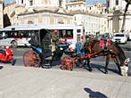 イタリア ローマの観光馬車